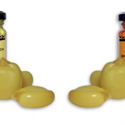 CarpZoom XXL Corn