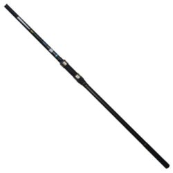 CarpZoom Tempo Carp TC2 12'/3,00lb