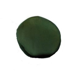 CarpZoom Tungsten Putty