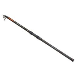 Carp Expert Rod Sliver Carp Power Tele