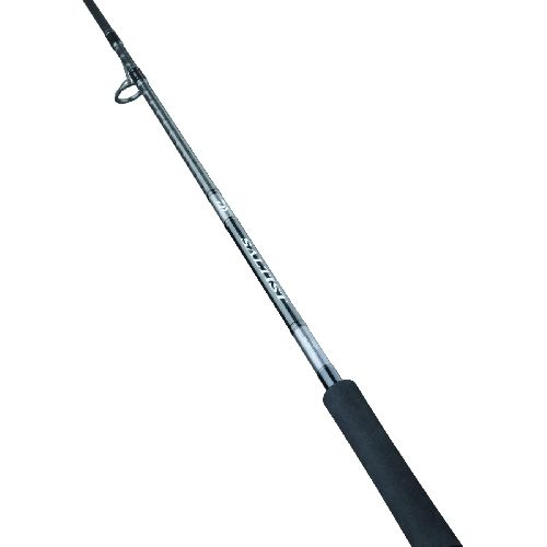 Daiwa Saltist X Jig Special 2.74m/20-80g - Slika 2